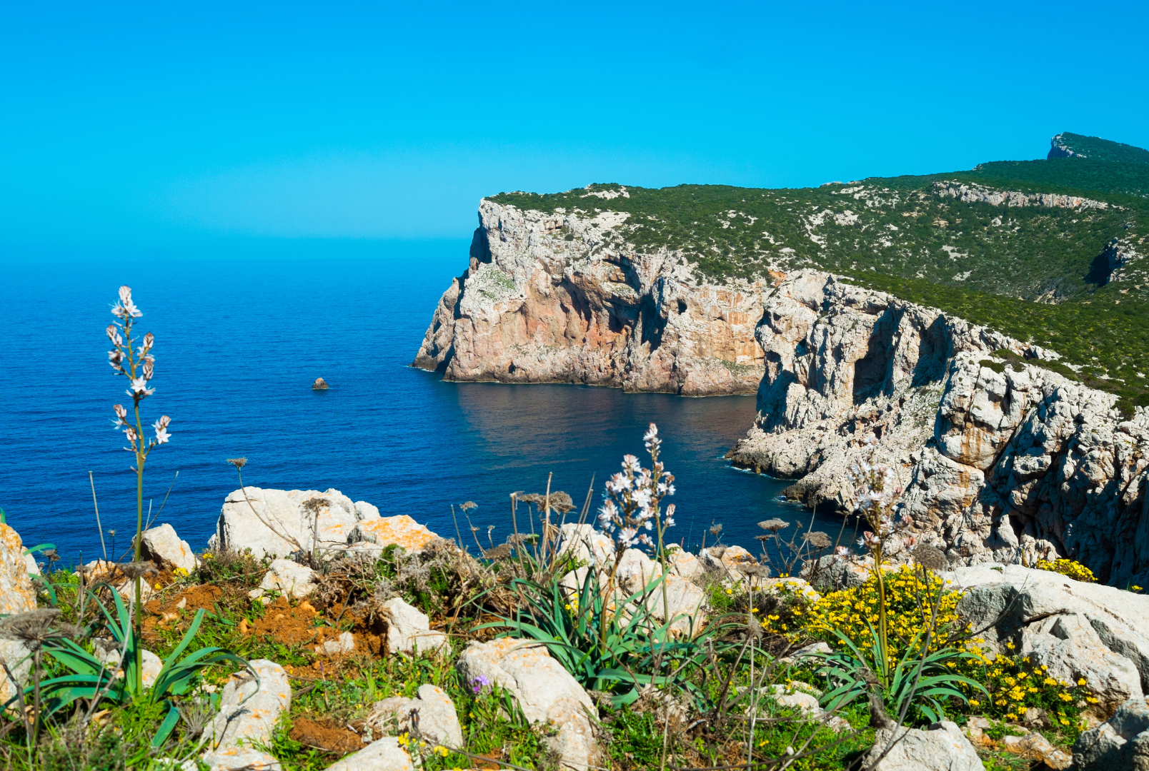 sardinia